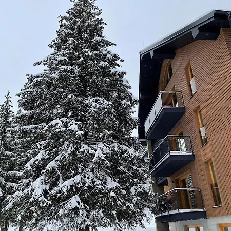 Snow Apartment *