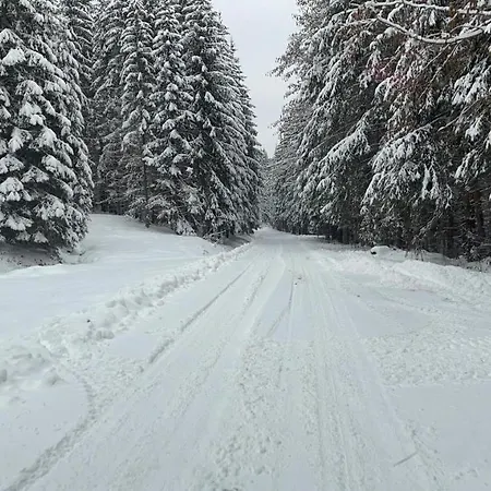 Snow *