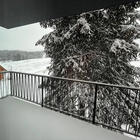 Apartment Snow