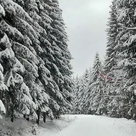 Snow Oravska Lesna